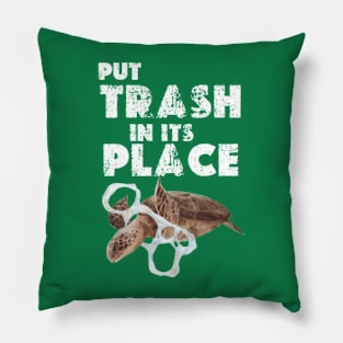 put trash in its place   earth day 2024 Pillow