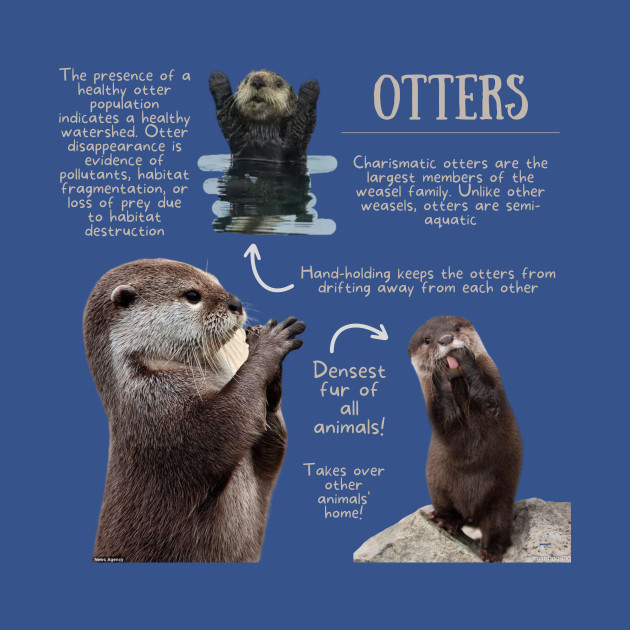 Discover Animal Facts - Otter - Otter - T-Shirt