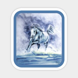 Arabian Horse.  Arabian Sea. Magnet