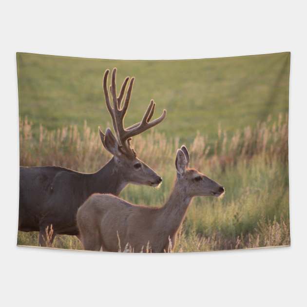 The Majestic Couple Tapestry by Peaceful Prairie Photography