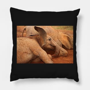 Baby Elephants Playtime Pillow