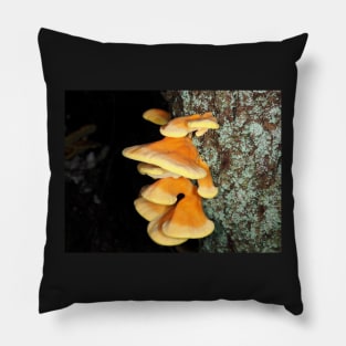 Chicken of the woods mushrooms Pillow