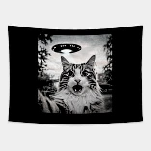 Cat Tapestry