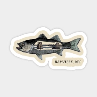 Striped bass Bayville  bridge Long Island Magnet