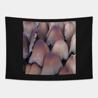 Inky-cap Mushrooms Tapestry