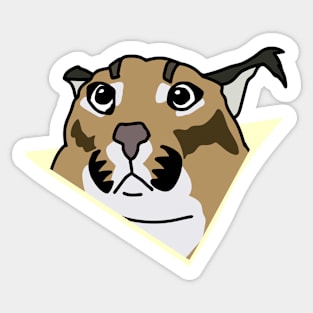 big floppa - caracal Sticker for Sale by faelarvae