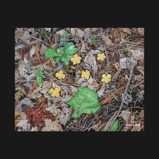 'Yellow Flowers (Ground Cover #1)' T-Shirt