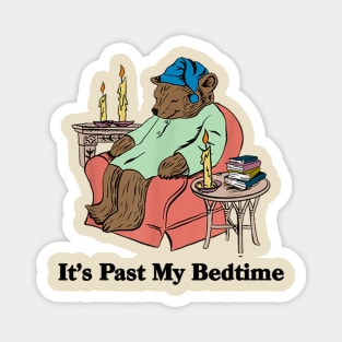 It's Past My Bedtime Funny Bear Taking a Nap Magnet