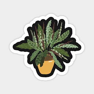 Snake plant Magnet