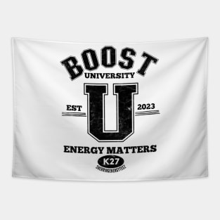 Boost University v3 Black Tapestry