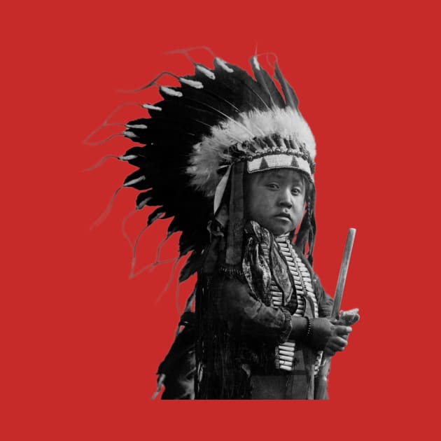 Young Native American In Full Headdress by warishellstore