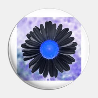 Filtered Daisylike Flower Photographic Image Pin