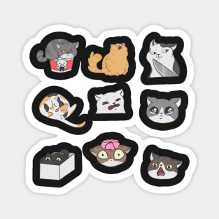 Meme cats stickers Magnet