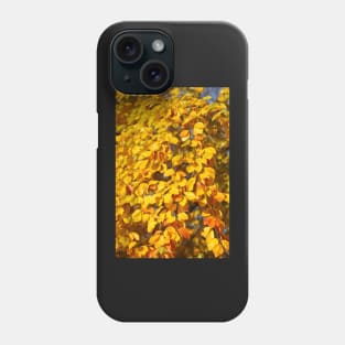 Autumn leaves, leaf color, beech, tree Phone Case