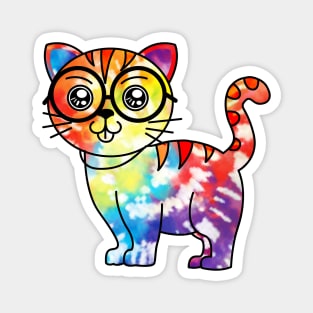 Tie Dye Colorful Rainbow Cute Cat Magnet