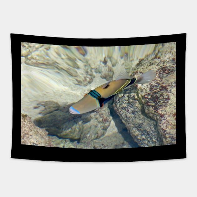 Colorful State Fish of Hawaii Tapestry by PhotoDesigns