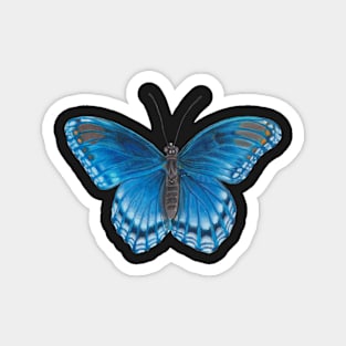 Bright Blue Butterfly Illustration Magnet