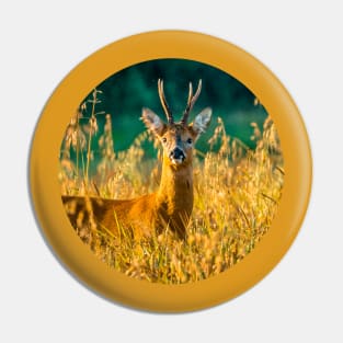 Alert Roebuck Pin