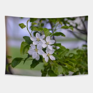 White Crab Apple Blossoms Tapestry