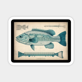 Largemouth Bass Fish Print Magnet