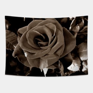 Roses Outside the Store in Black and White 3 Tapestry