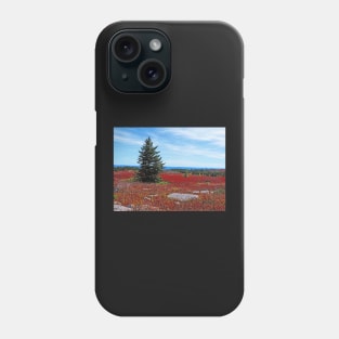 Lone Pine Tree Phone Case