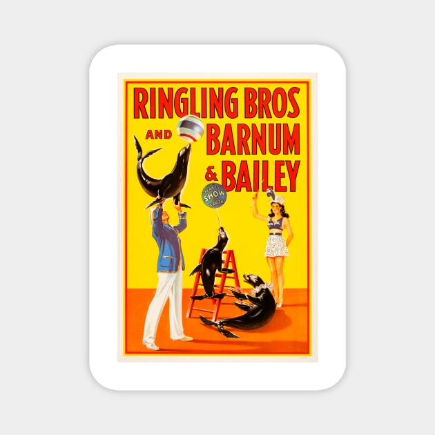 Ringling Bros Barnum & Bailey CIRCUS ACROBATIC SEA LIONS and TRICKS Vintage American Magnet by vintageposters