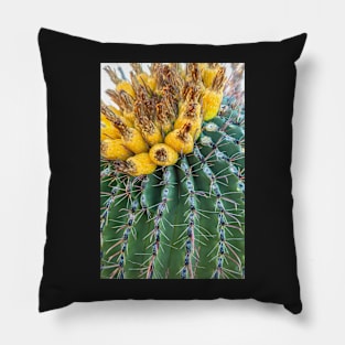 Golden Crown Pillow