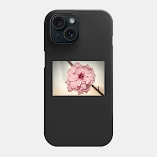 FLOWERS, NATURE’S Fashion Models Phone Case