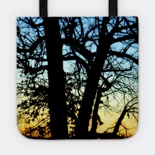 Trees 77 by Kristalin Davis Tote