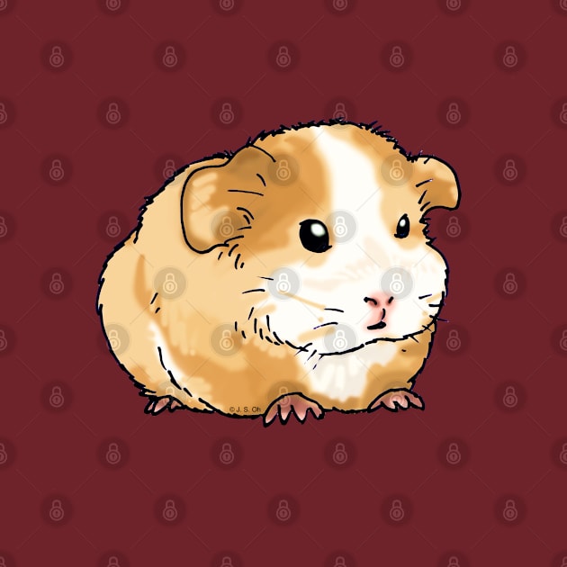 adorable guinea pig by cartoonygifts