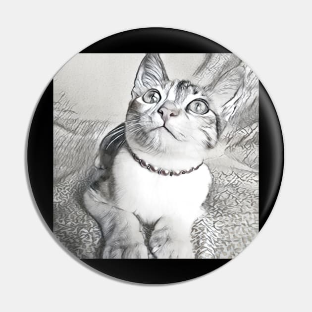 THE ADORABLE LOOK CAT PORTRAIT Pin by CATUNIVERSE