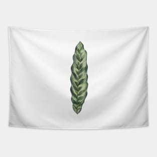 Simple Calathea Leaf Tapestry