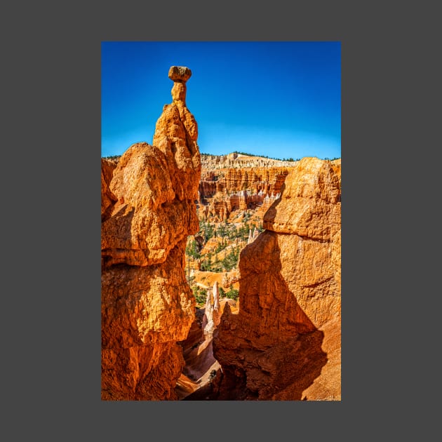 Bryce Canyon National Park by Gestalt Imagery