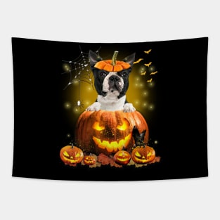 Black Boston Terrier Spooky Halloween Pumpkin Dog Head Tapestry