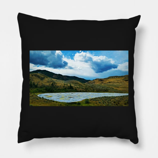 Spotted Lake Pillow by kchase