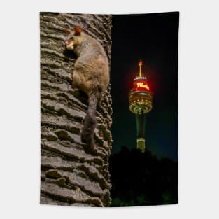 Brushtailed Possum in Hyde Park, Sydney, NSW, Australia Tapestry