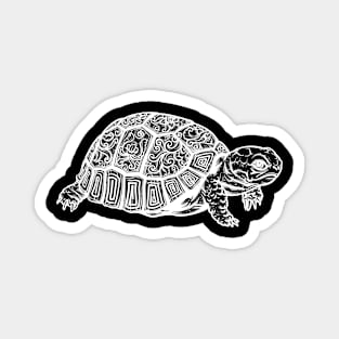 Turtle Magnet