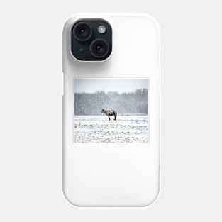 A Very Cold Pony Phone Case