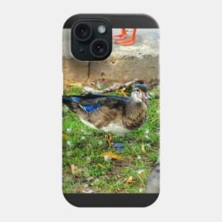 Wood Duck With Its Beak Opened Phone Case