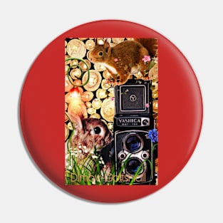 Squirrel and rabbit photographers Pin