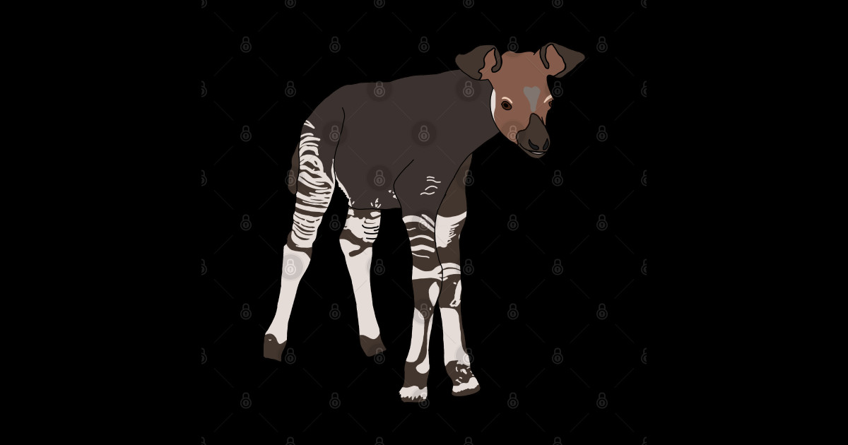 Baby Okapi - Animal - Sticker | TeePublic