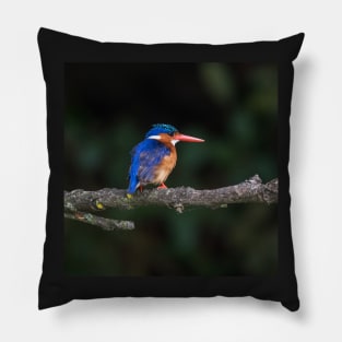 Malachite Kingfisher Pillow