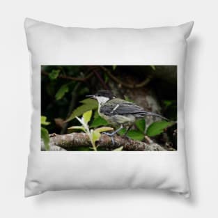 NEW  THE PANASONIC FZ 1000 PAR OKAIO CREATION Pillow