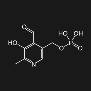 Vitamin B6 Pyridoxal Phosphate C8H10NO6P T-Shirt