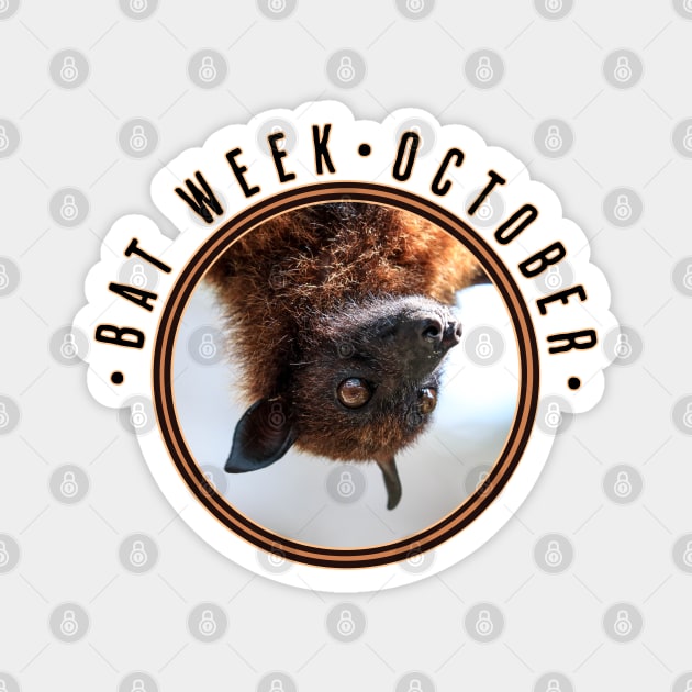 Bat Week, flying fox Magnet by HolidayBug