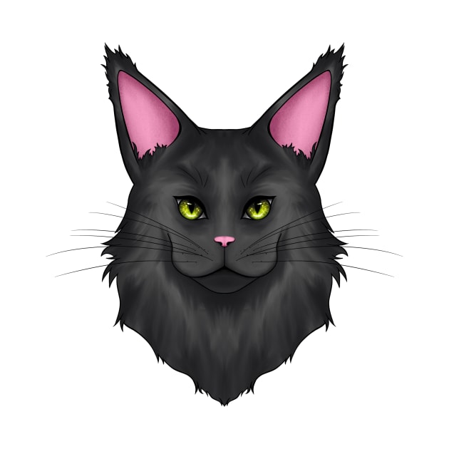 Black Maine Coon Cat by Cat Club