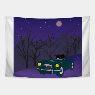 Moonlight Tapestry