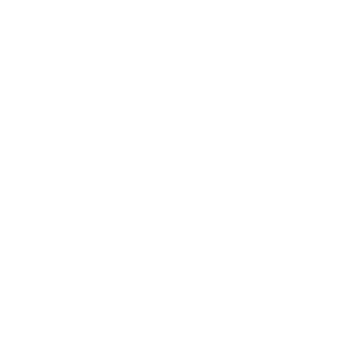 Veteran of Online Wars - White logo Magnet