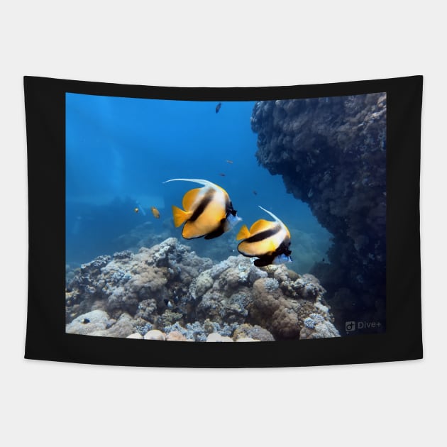 Angelfish Tapestry by likbatonboot